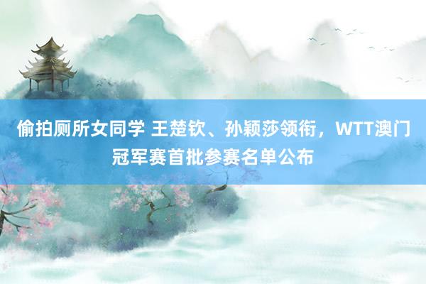 偷拍厕所女同学 王楚钦、孙颖莎领衔，WTT澳门冠军赛首批参赛名单公布