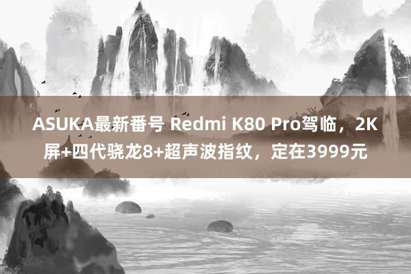 ASUKA最新番号 Redmi K80 Pro驾临，2K屏+四代骁龙8+超声波指纹，定在3999元