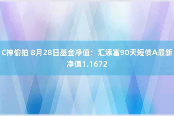 C神偷拍 8月28日基金净值：汇添富90天短债A最新净值1.1672